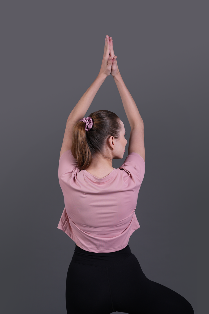 TrainPro Crop Top Mauve
