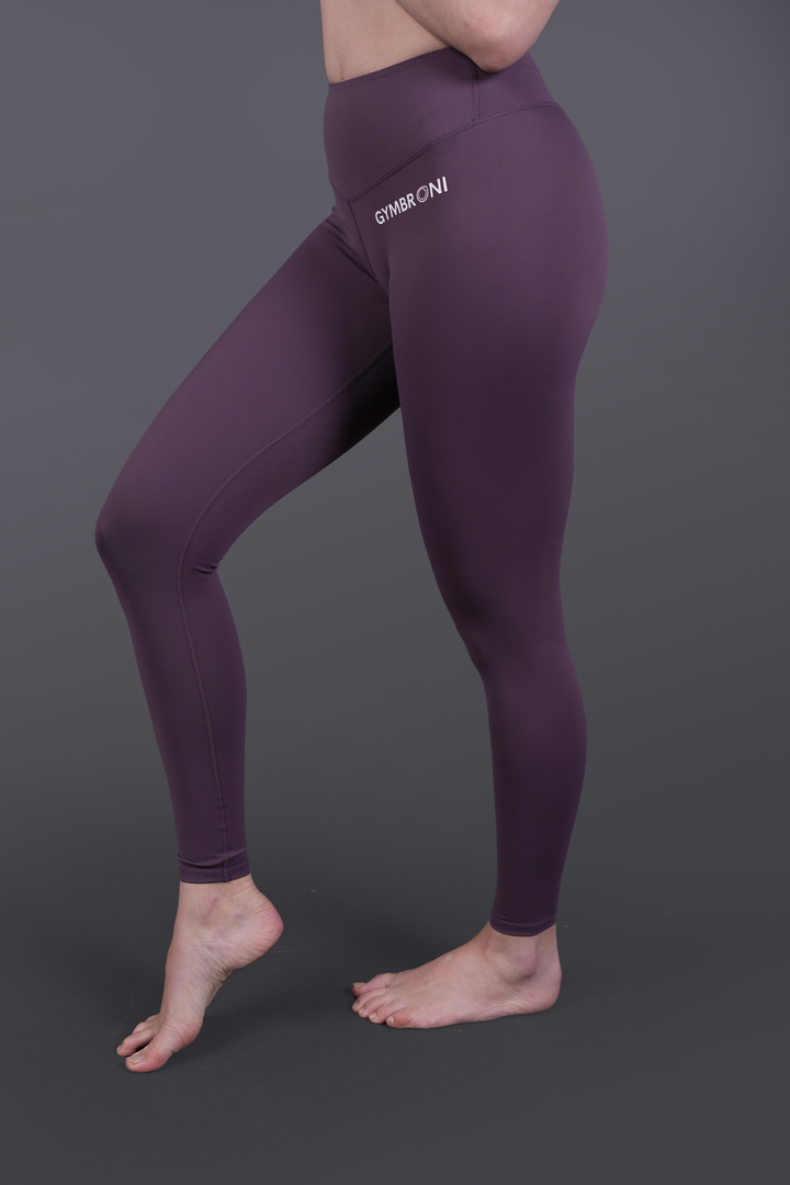 FlexCurve Mauve Leggings